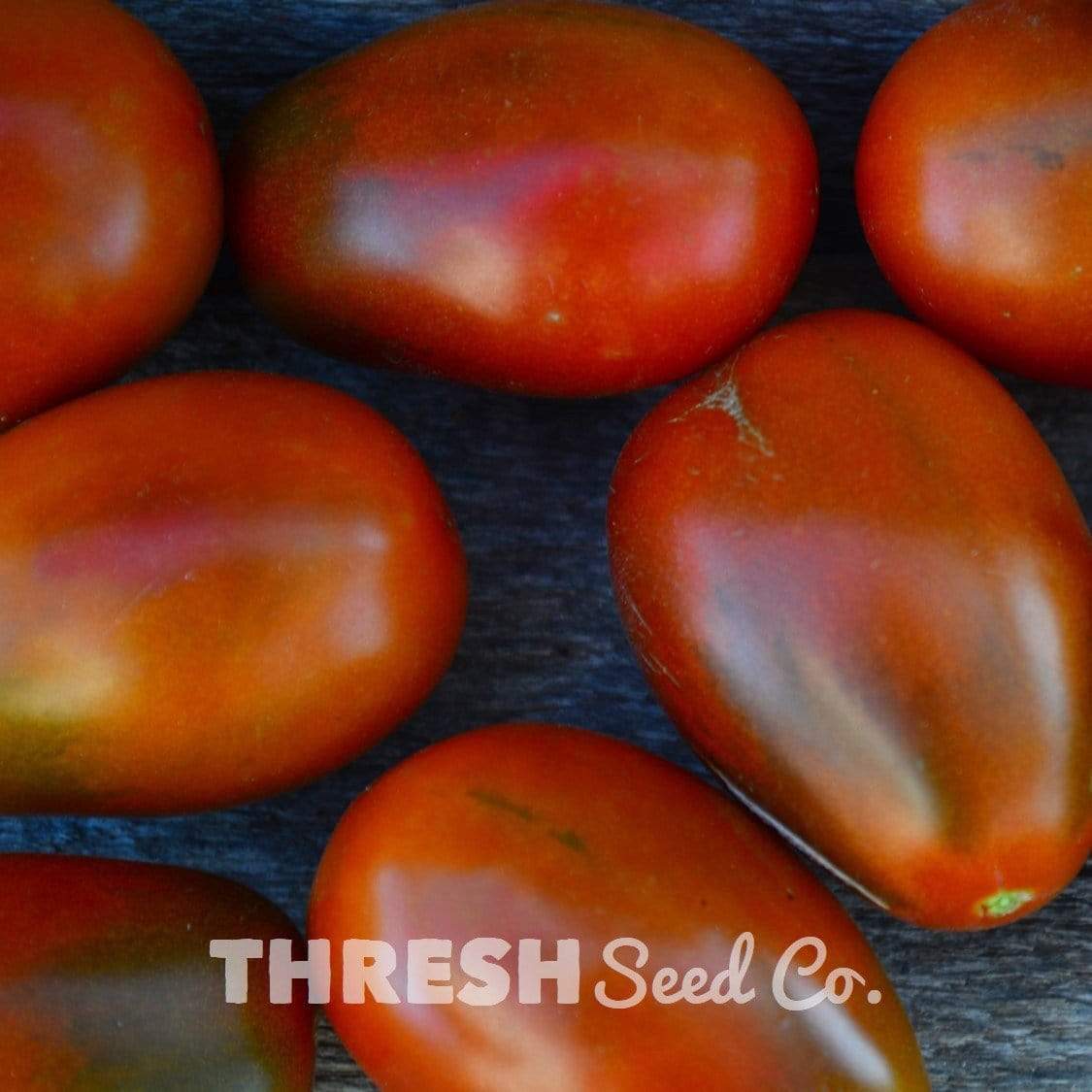Brown Cherry Tomato