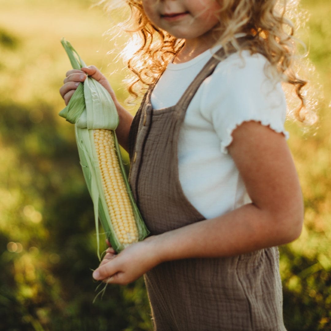 Buhl Heirloom Sweet Corn Thresh Seed Co.