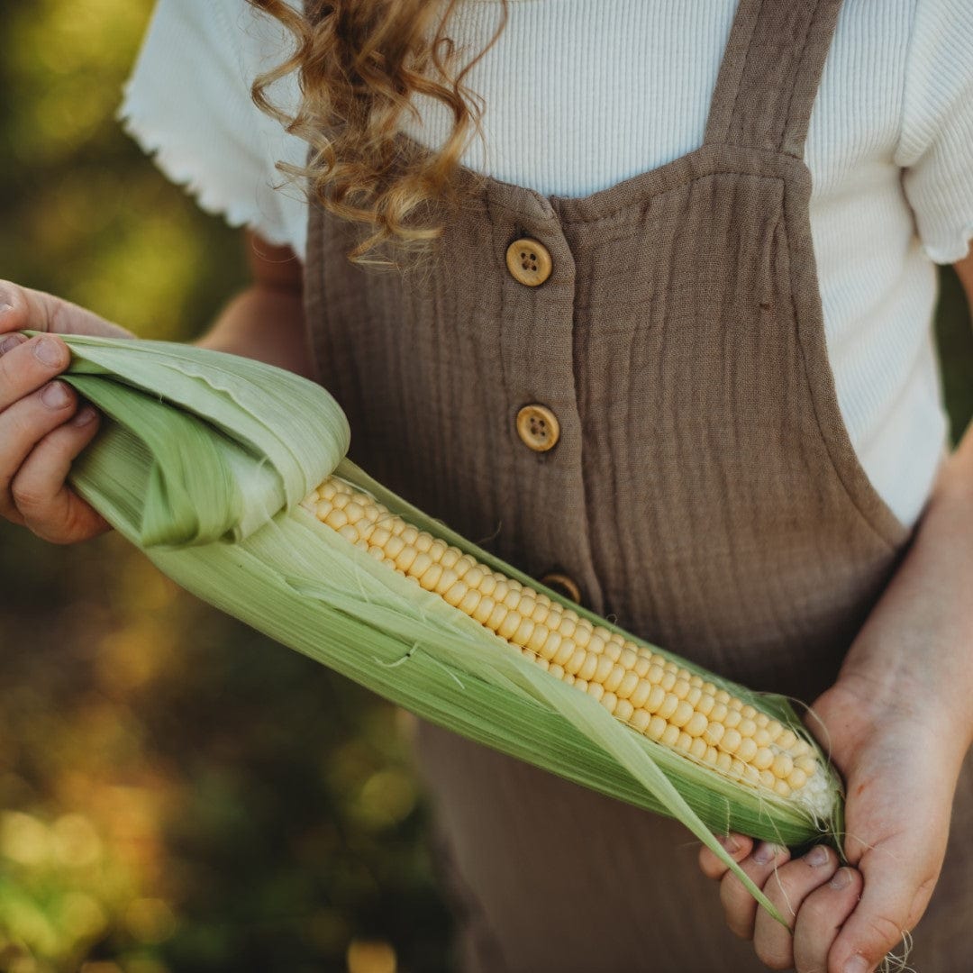 Buhl Heirloom Sweet Corn