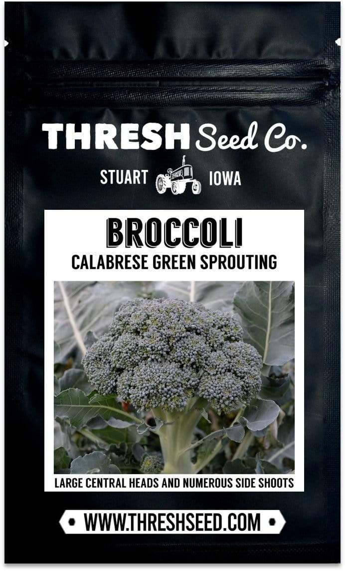 Calabrese Green Sprouting Broccoli