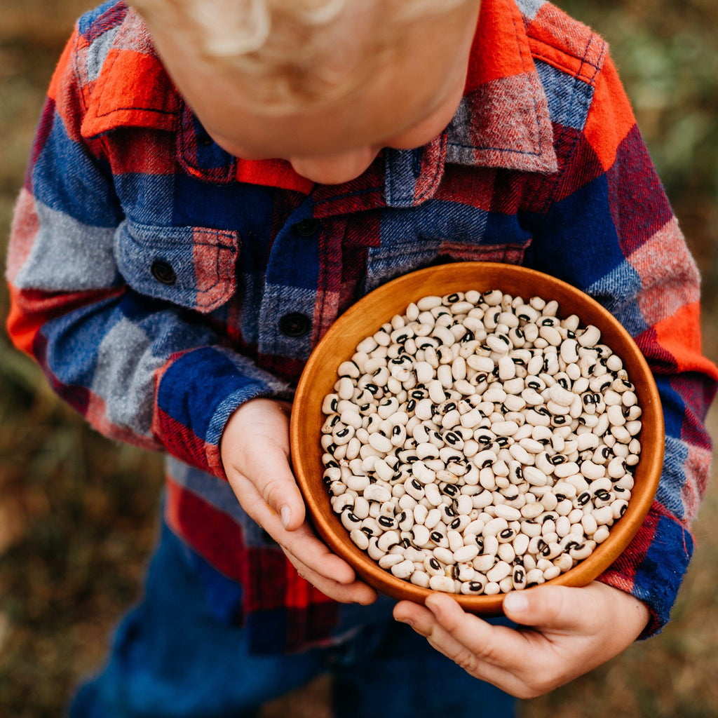 California Blackeye No. 5 Cowpea Seeds