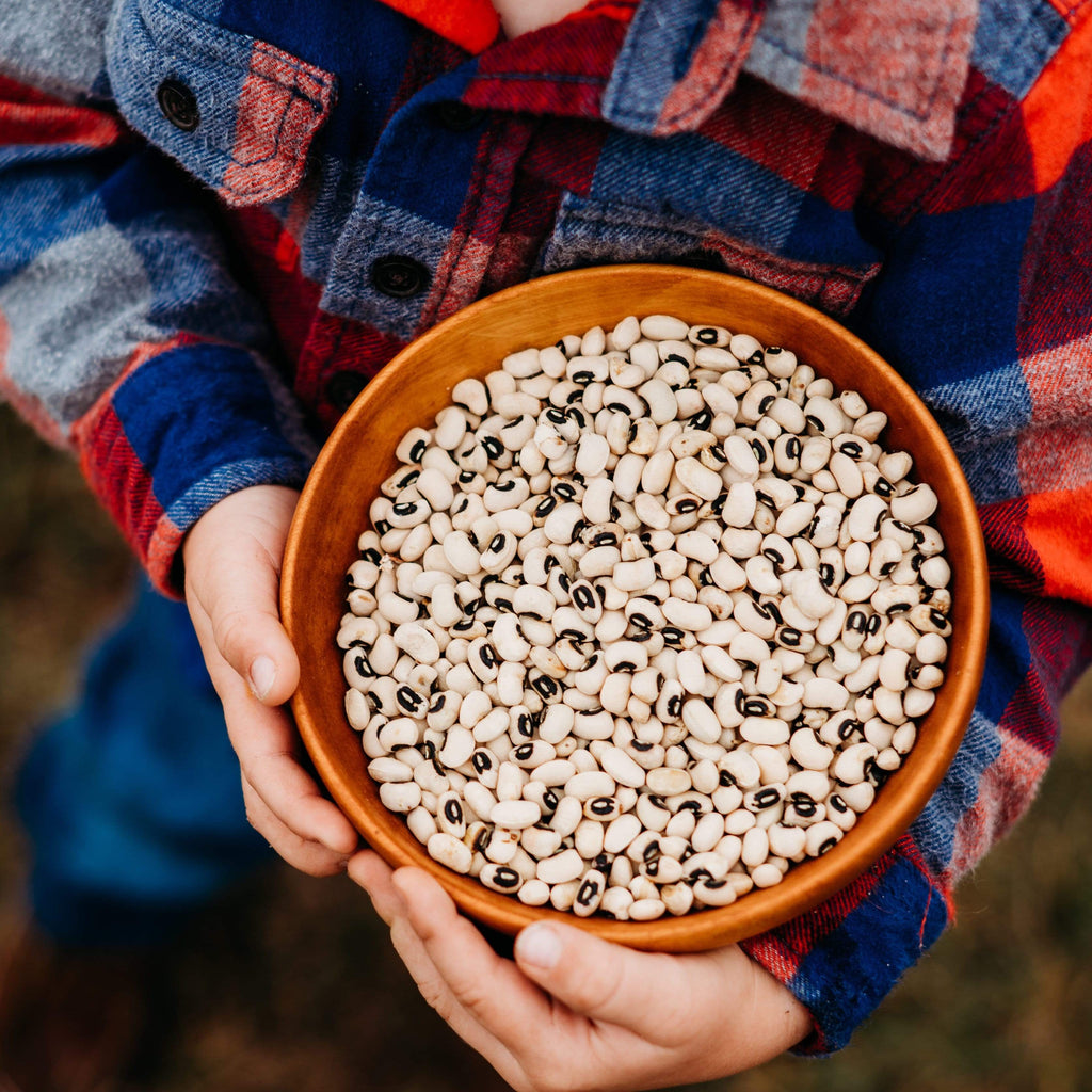 California Blackeye No. 5 Cowpea Seeds