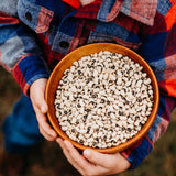 California Blackeye No. 5 Cowpea Seeds