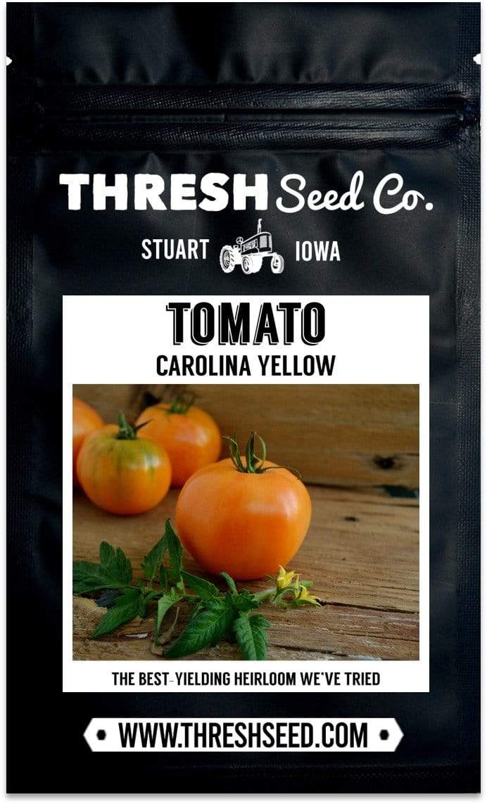 Carolina Yellow Tomato Seeds