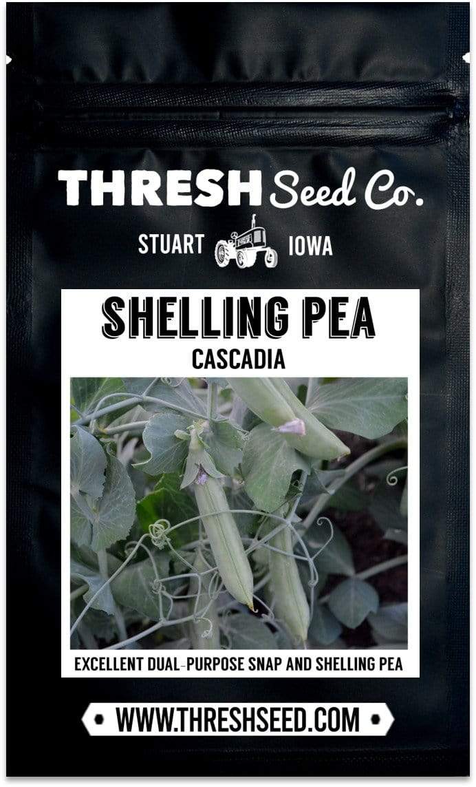 Cascadia Snap Pea