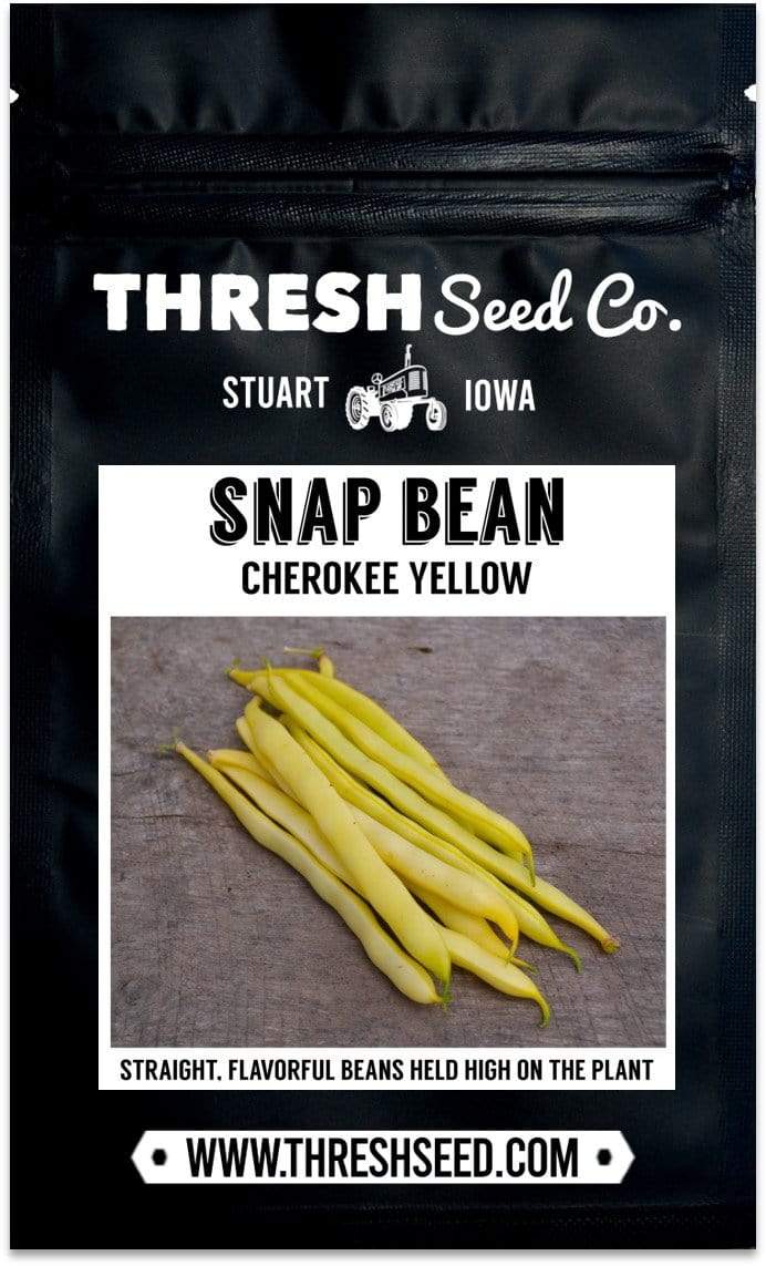 Cherokee Yellow Snap Bean Seeds