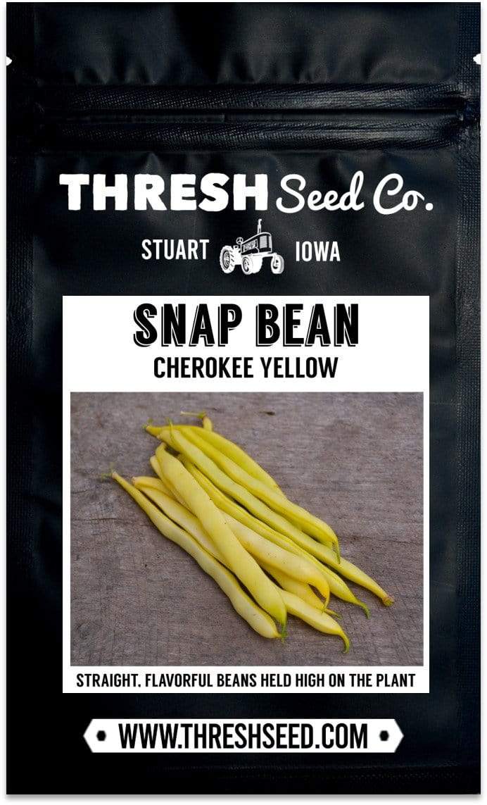 Cherokee Yellow Snap Bean