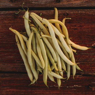 Cherokee Yellow Snap Bean