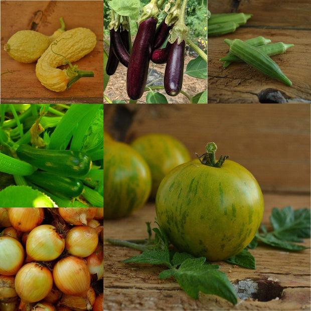 Chicken Fried Garden Collection Seeds