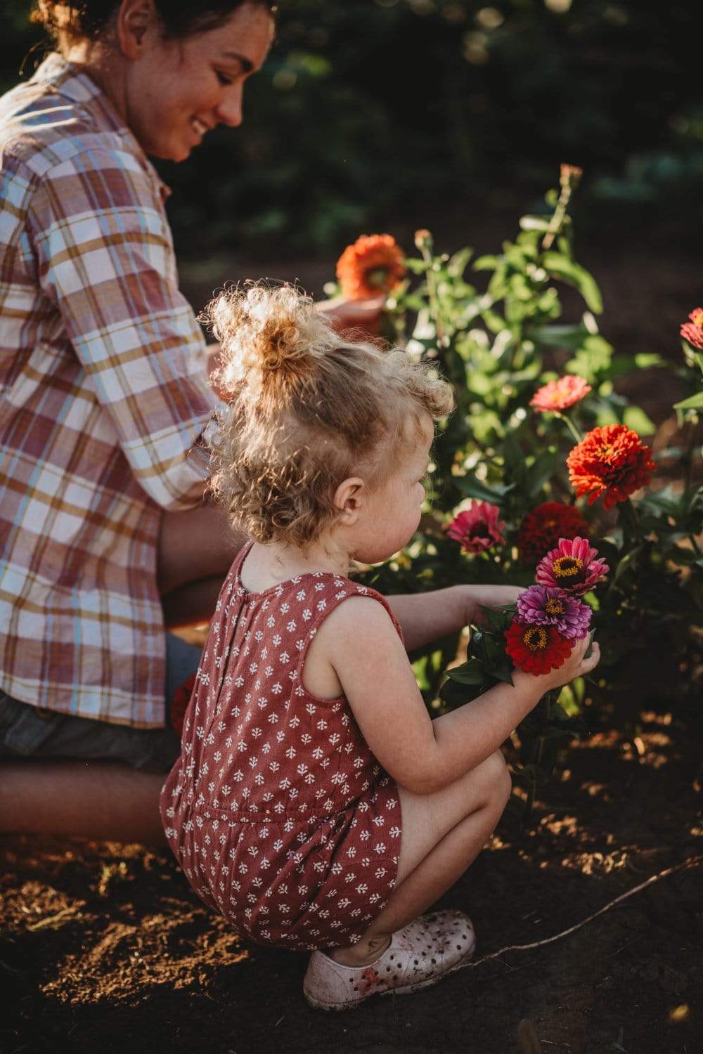 Children's Garden Collection Seeds