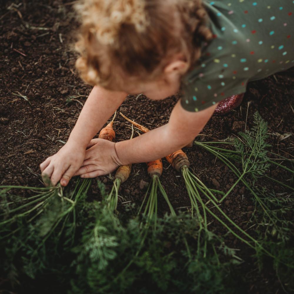 Children's Garden Collection Seeds