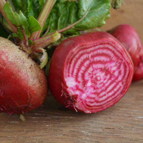 Chioggia Beet Seeds