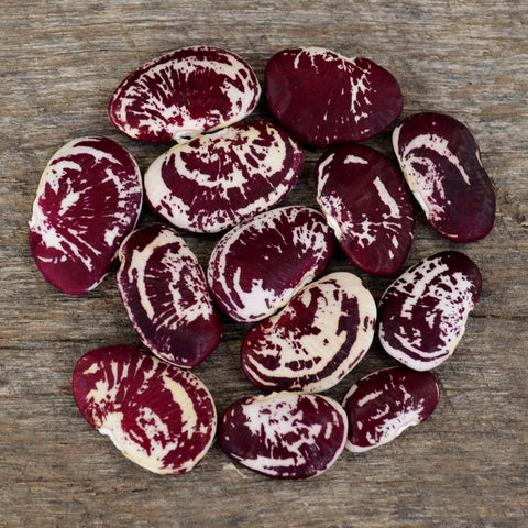 Christmas Lima Beans