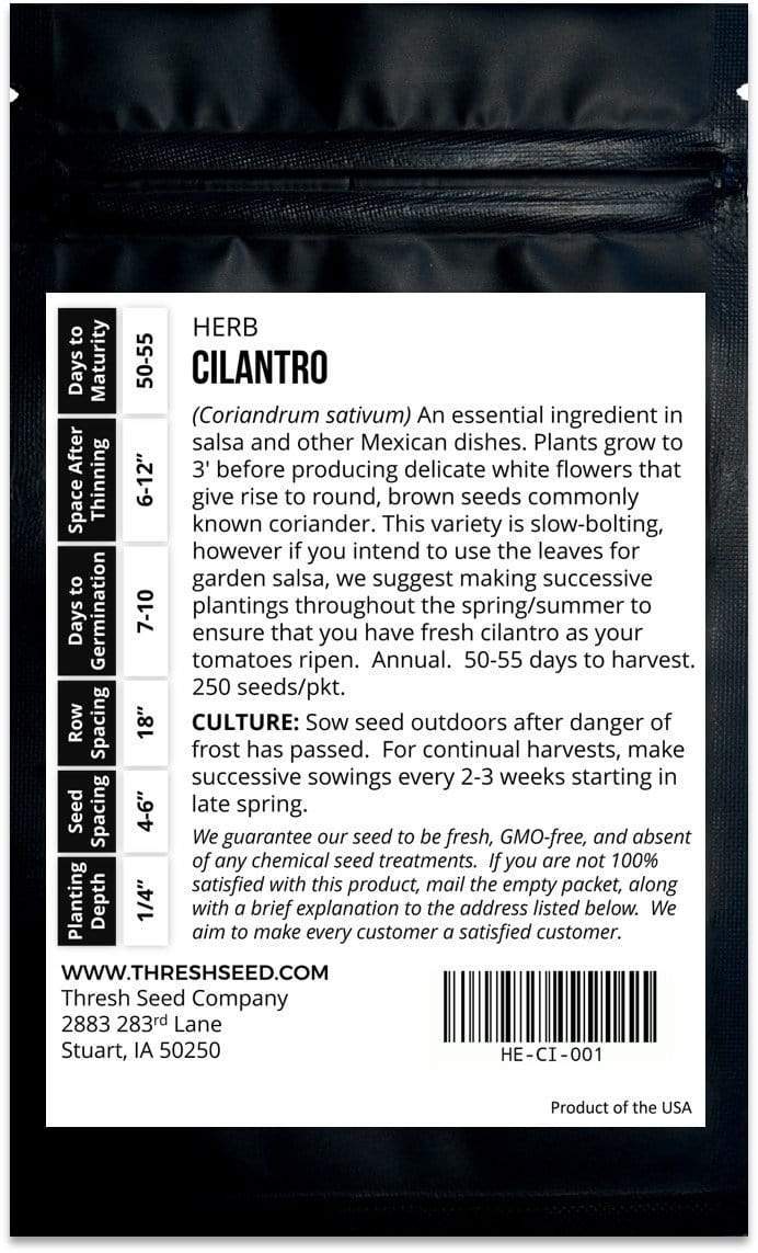 Cilantro Seeds