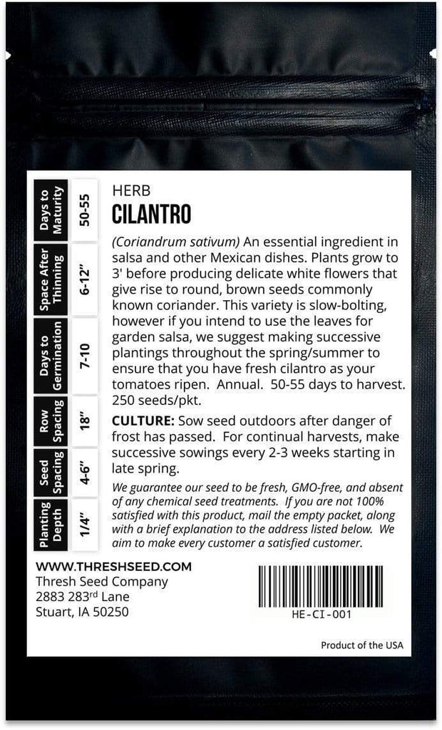 Cilantro Seeds