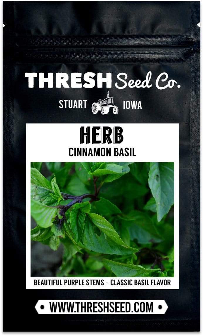 Cinnamon Basil Seeds