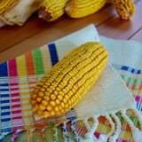 Cooks Early Yellow Dent Corn