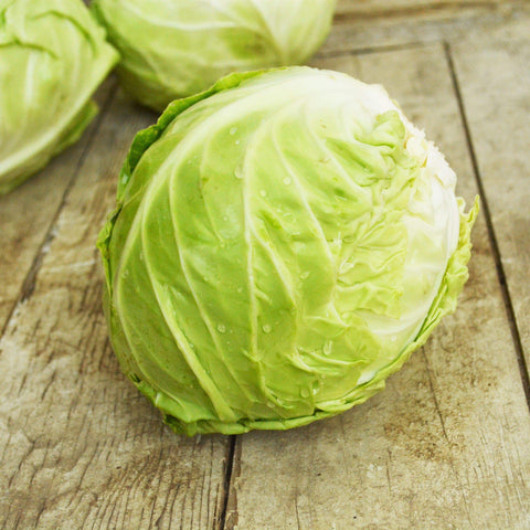 Copenhagen Market Cabbage Seeds