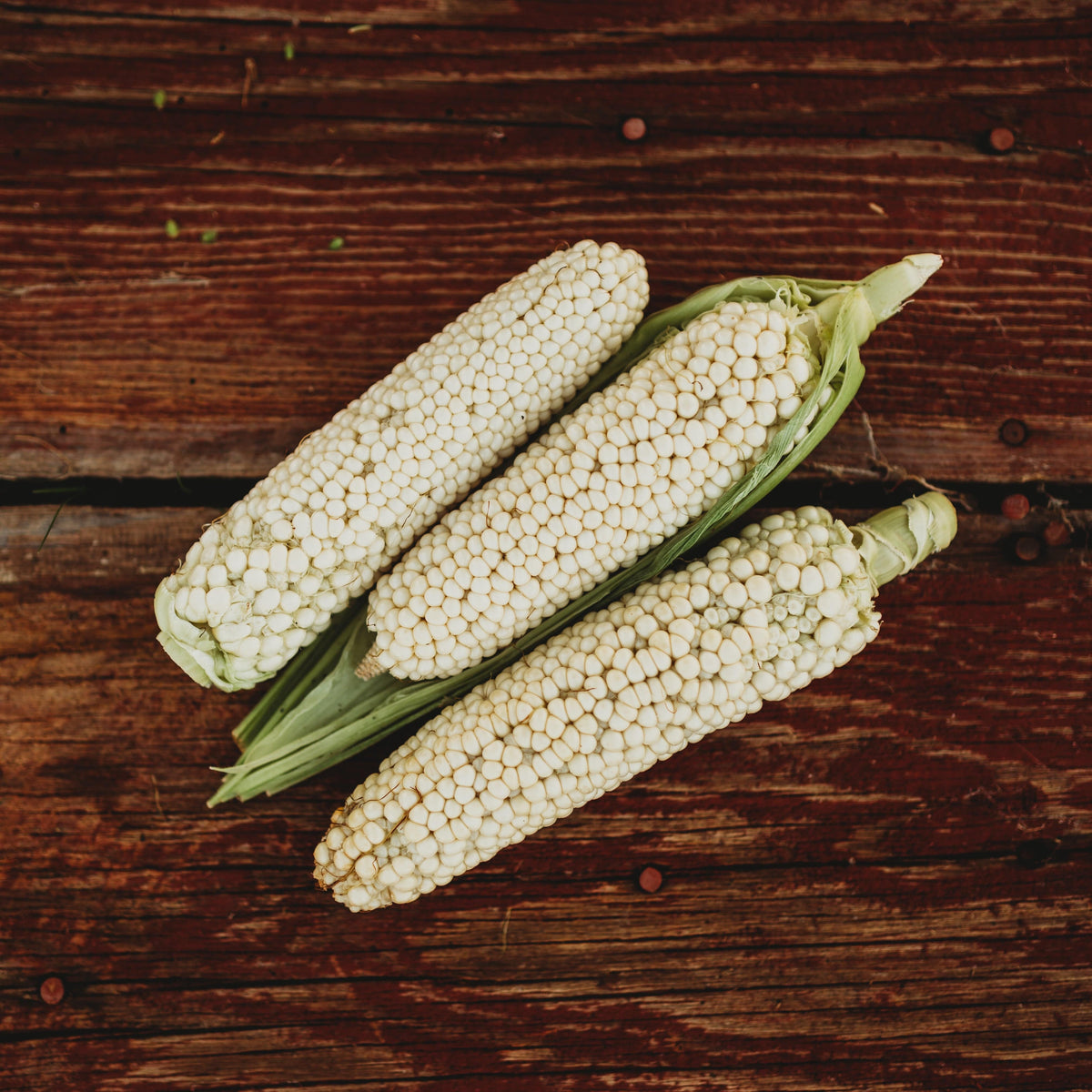 Country Gentleman Sweet Corn