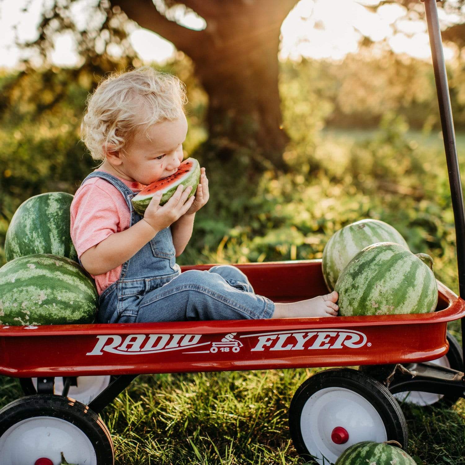 Crimson Sweet Watermelon