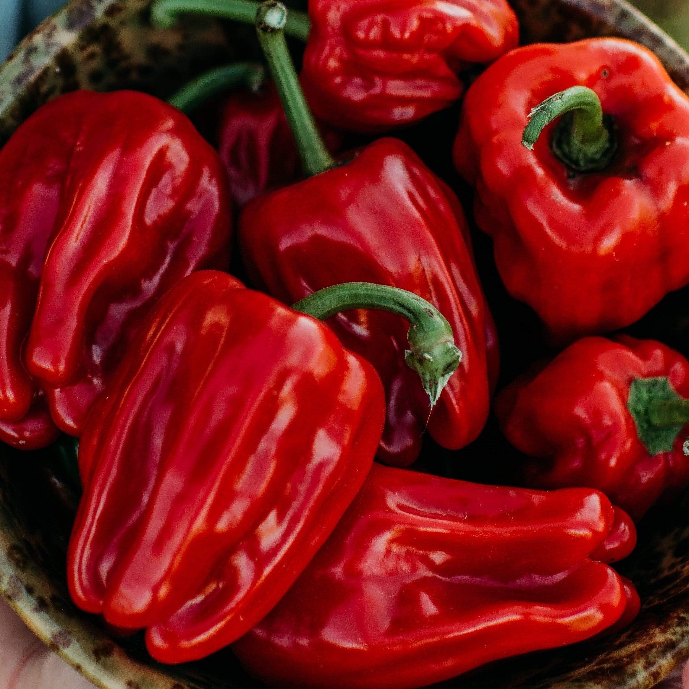 Criolla de Cocina Sweet Pepper Seeds