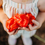 Criolla di Cocina Seeds