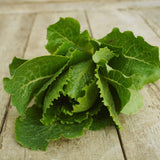 Crisp Mint Romaine Lettuce Seeds
