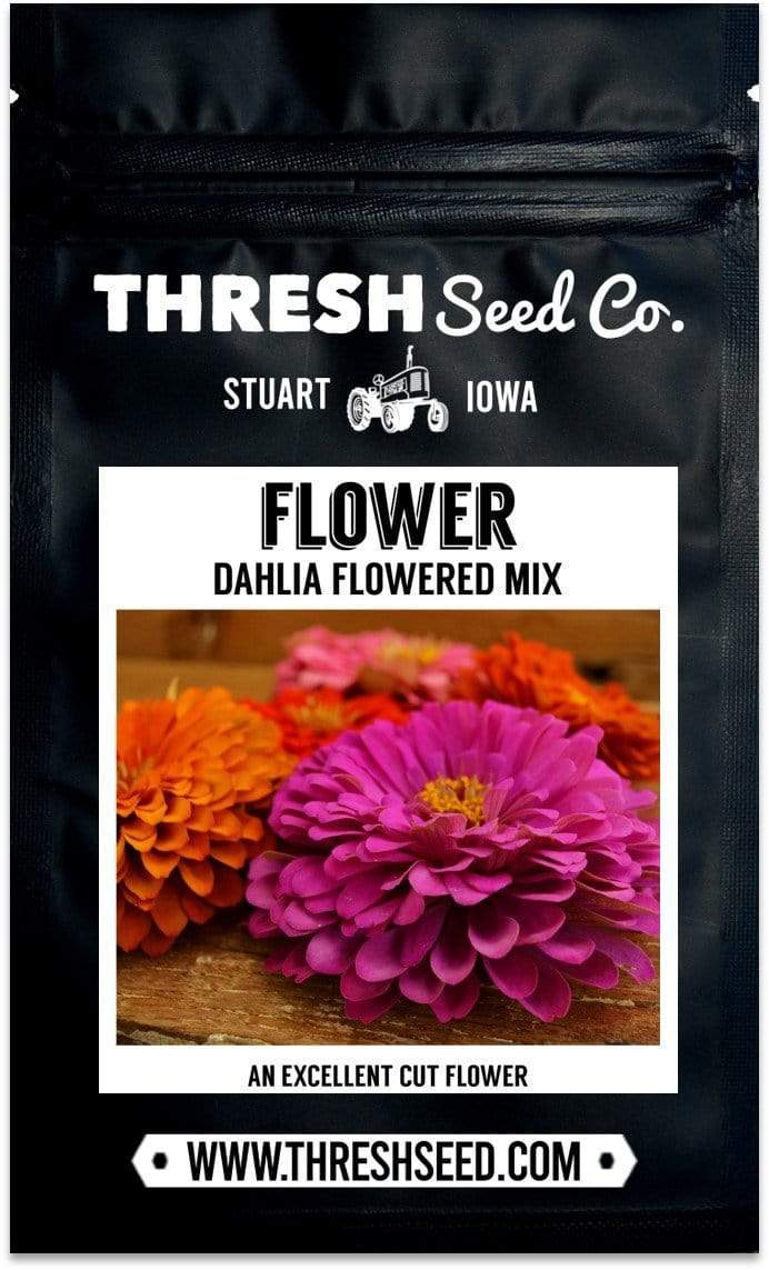 Dahlia Flowered Zinnia Mix Seeds