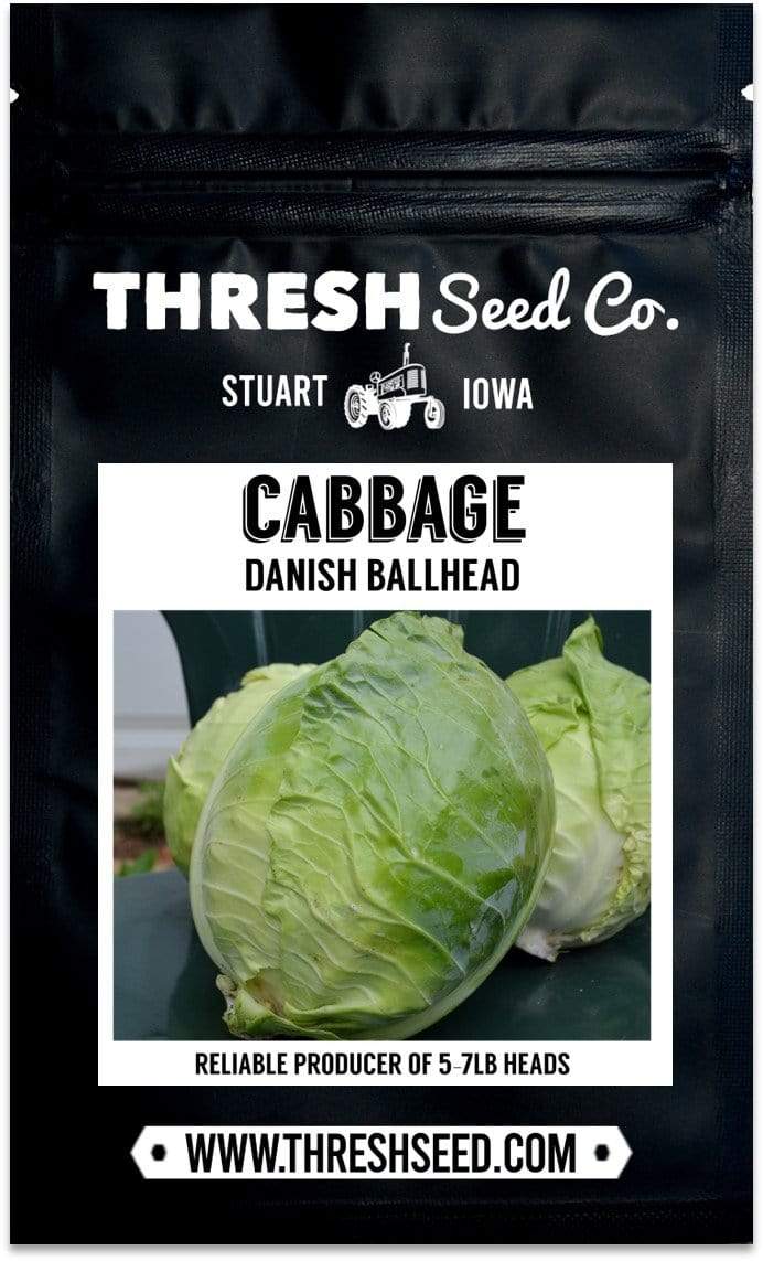 Danish Ballhead Cabbage