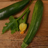 Dark Green Zucchini