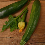 Dark Green Zucchini seeds