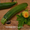 Dark Green Zucchini