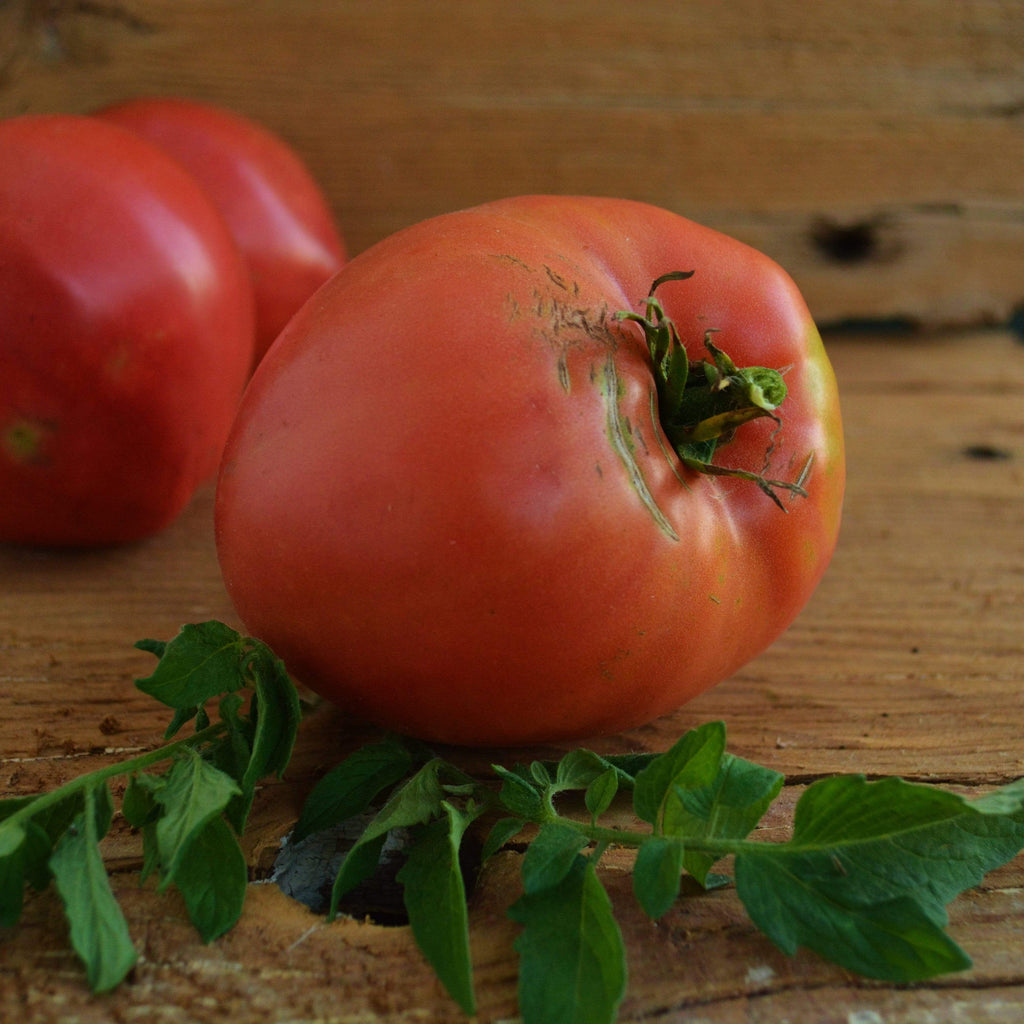 Dark Pink Oxheart Tomato seeds