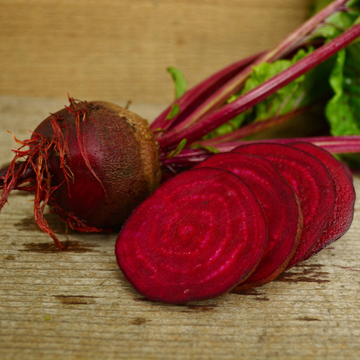 Detroit Dark Red Beet