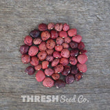 Dixie Speckled Butterpeas
