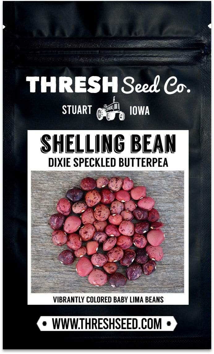 Dixie Speckled Butterpea Seeds