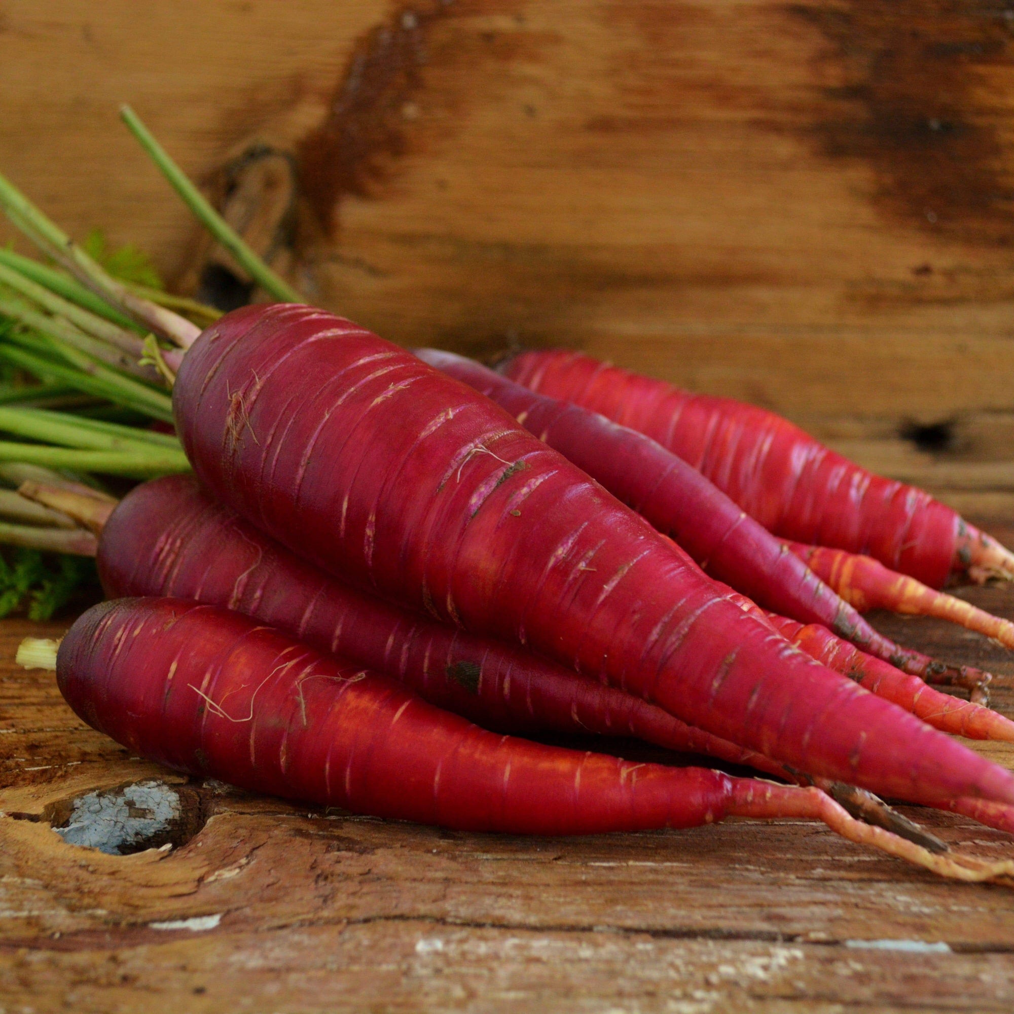 Dragon Carrot