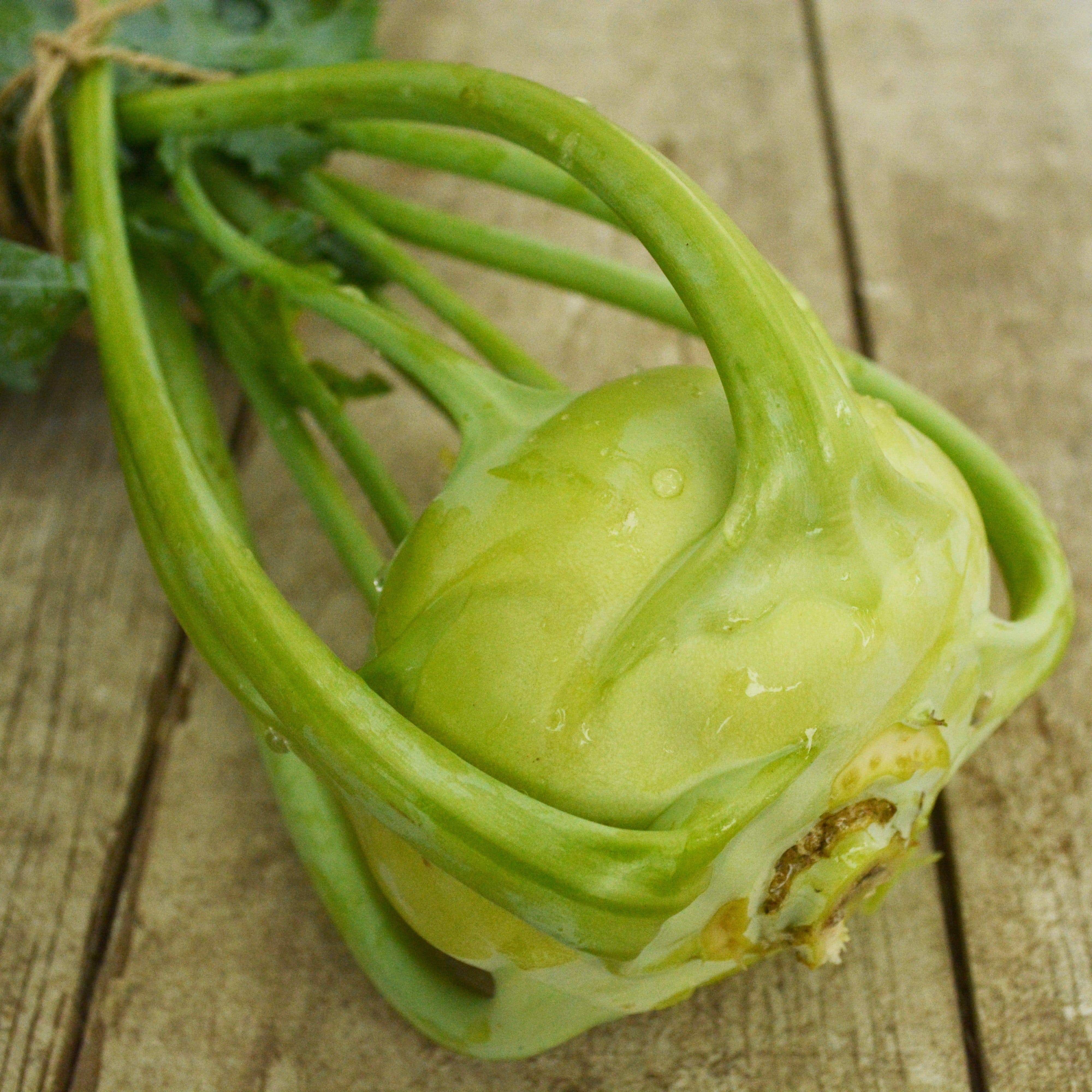 Early White Vienna Kohlrabi