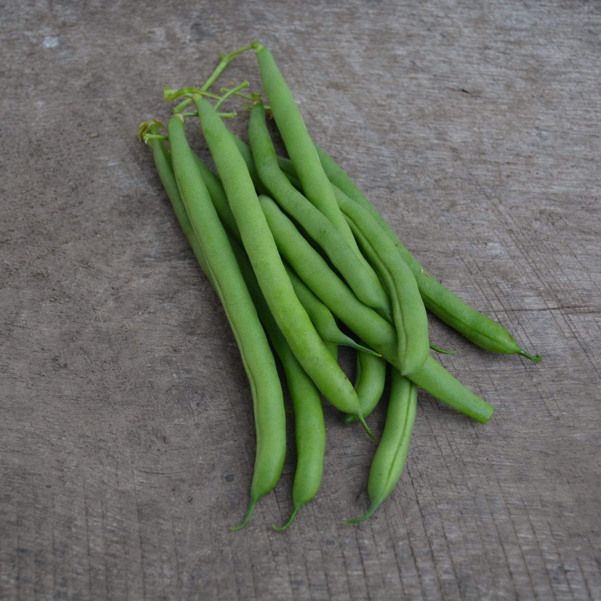 Empress Snap Green Bean