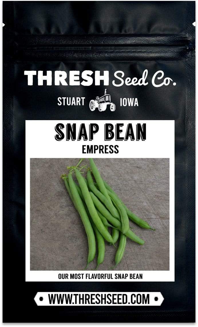 Empress Snap Bean Seeds