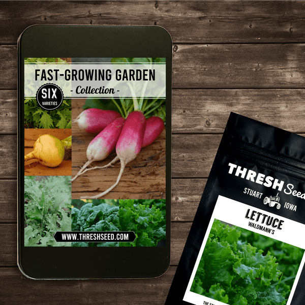 garden crush seeds Fast-Growing Garden Collection