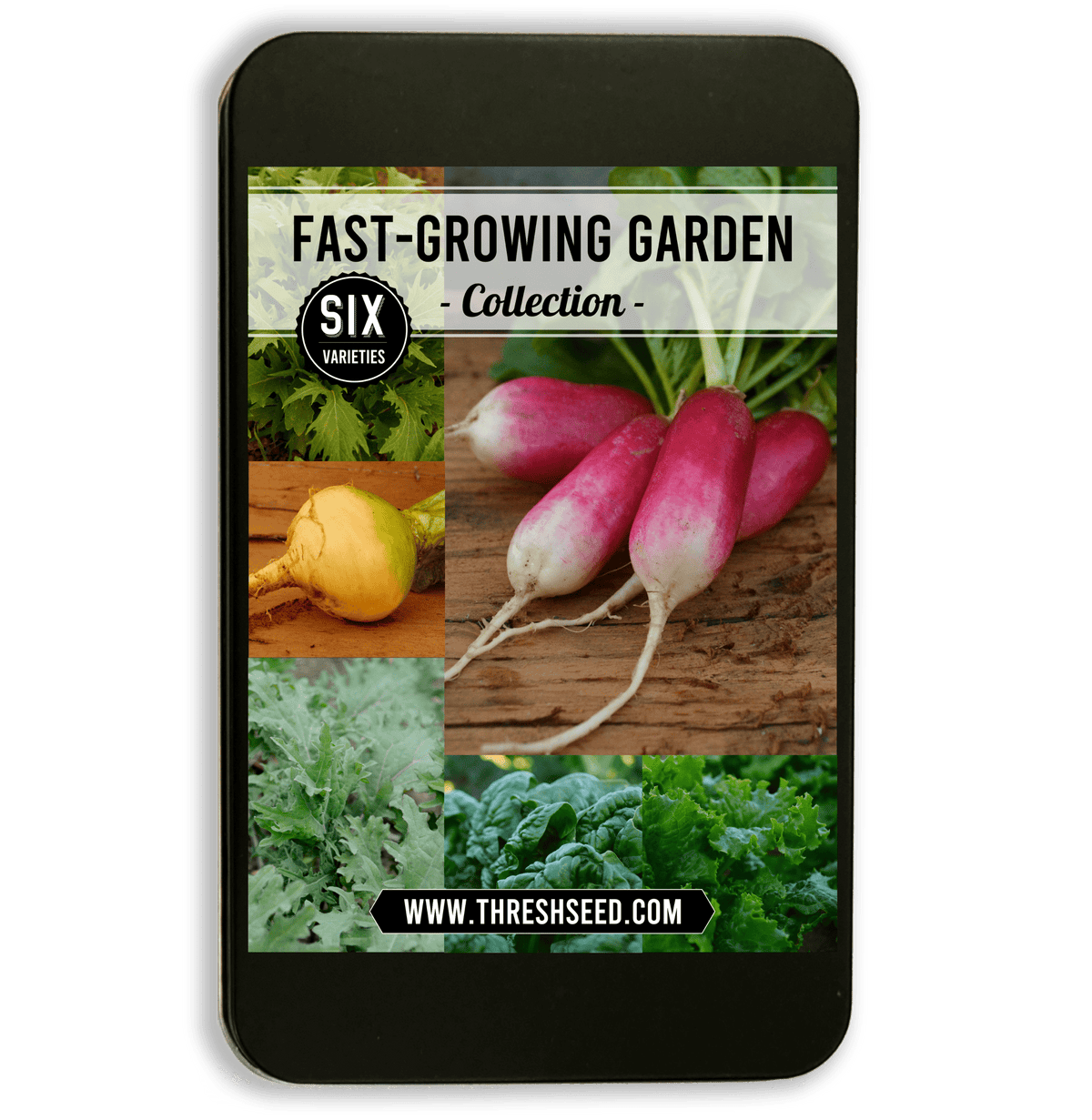 Fast-Growing Garden Collection