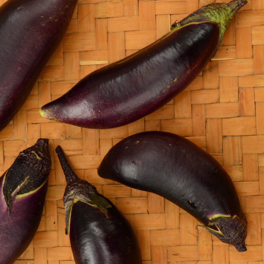 Fengyuan Purple Seeds