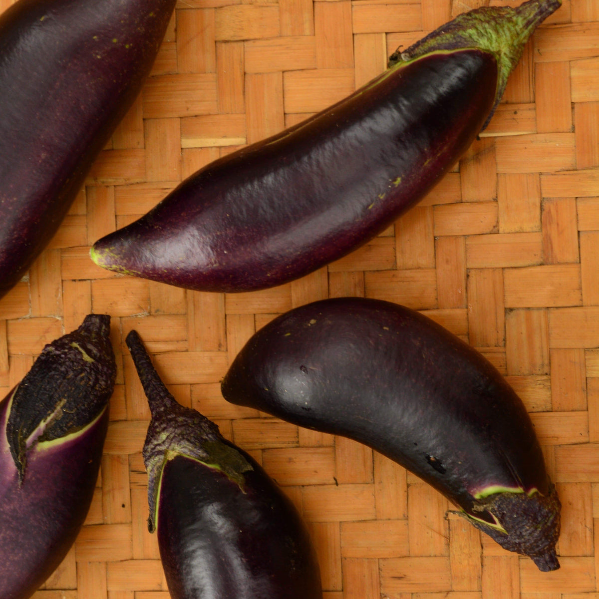 Fengyuan Purple Eggplant
