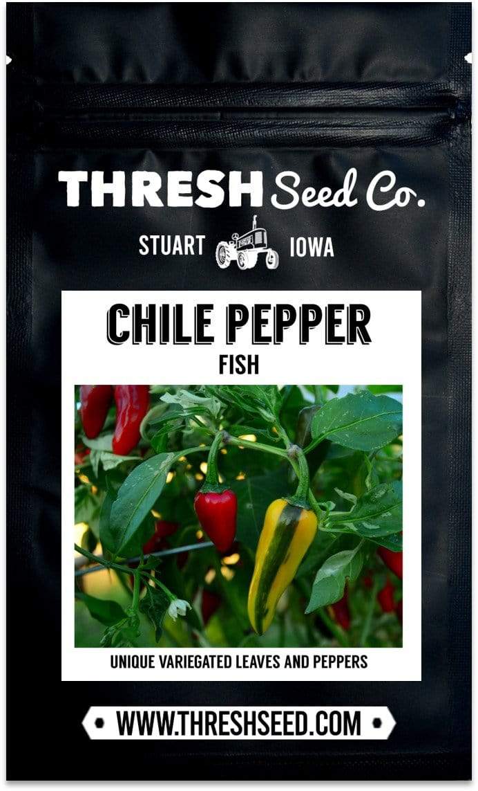 Fish Chile Pepper