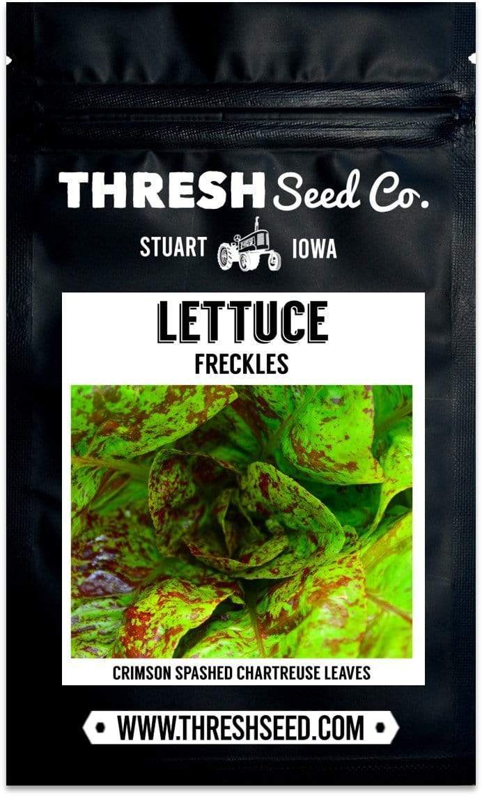 Freckles Romaine Lettuce Seeds