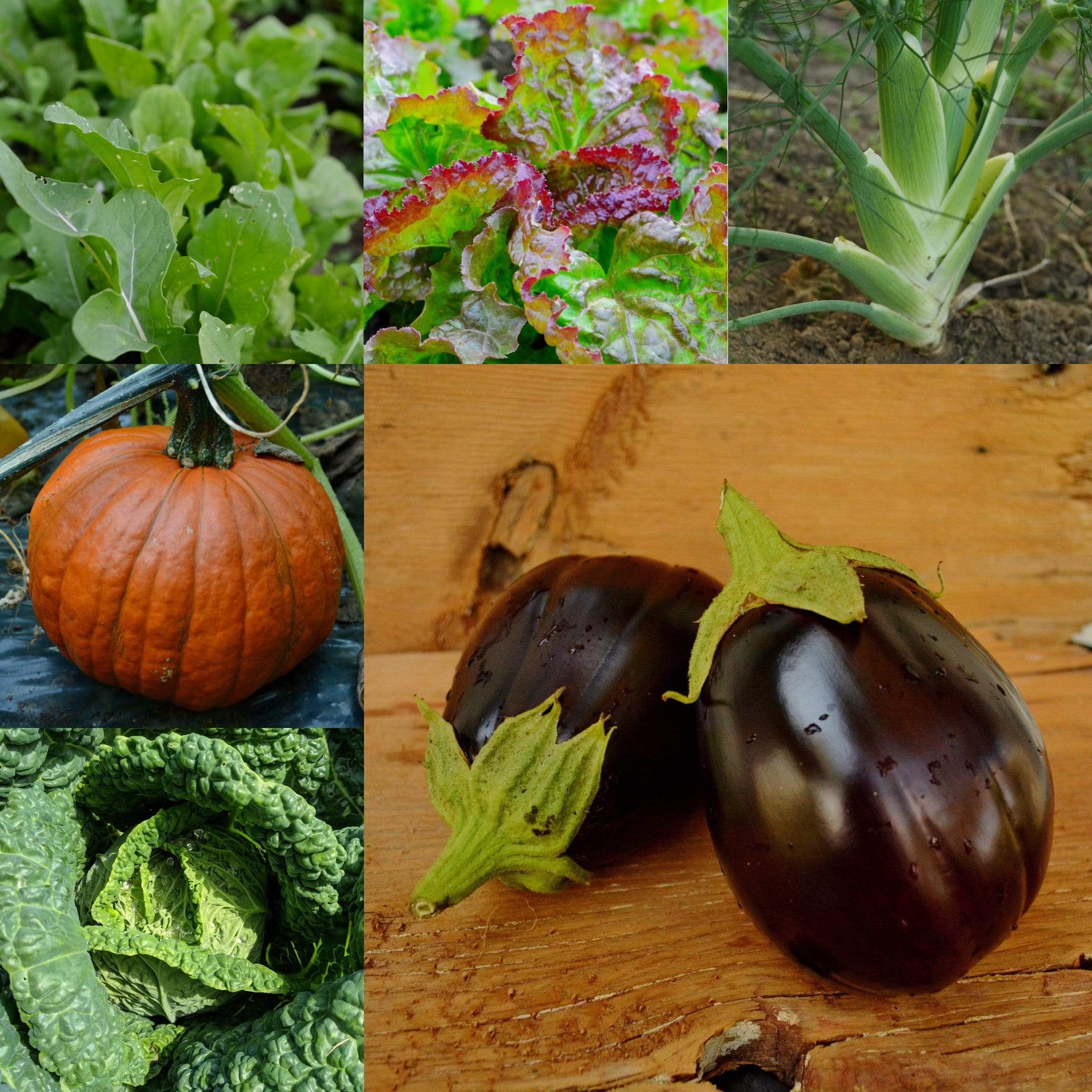 French Cooking Collection Seeds