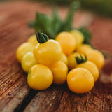 Galina's Yellow Siberian Cherry Tomato Seeds