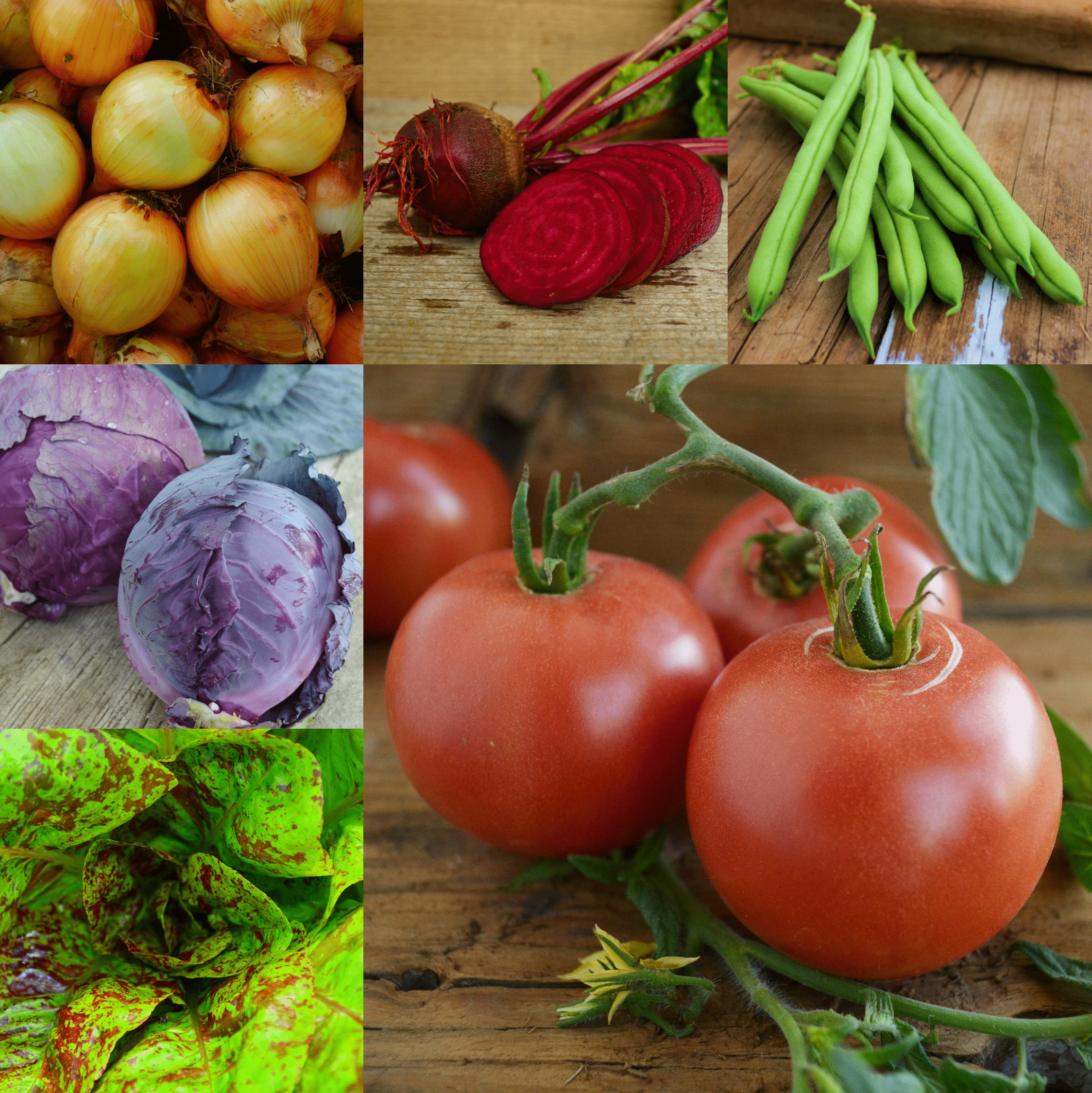 German Cooking Collection Seeds