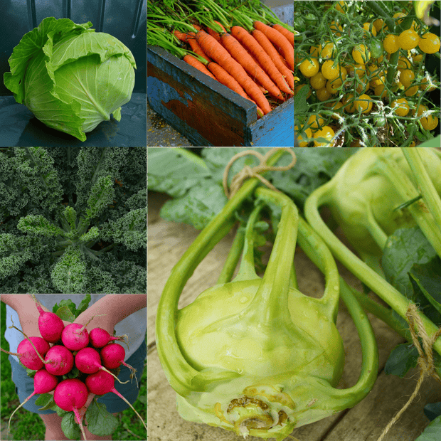 German Cooking Collection Seeds